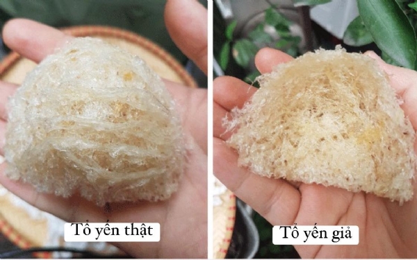 PHÂN BIỆT YẾN SÀO THẬT GIẢ CHỈ BẰNG HAI GIÁC QUAN